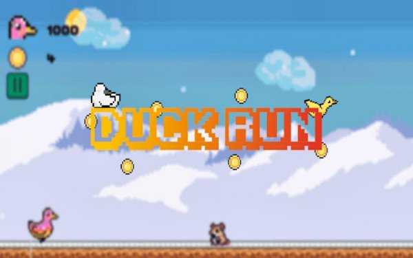 Duck Run - Fun Duck Adventure Game