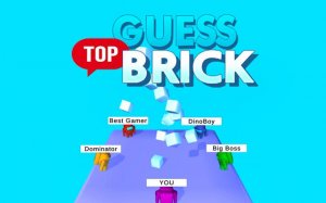 Guess Top Brick - Observation Puzzle Game