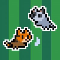 Cat Tag Online Game