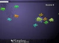 Ocean Shape Match Fun